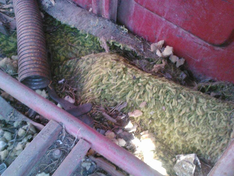 Anybody need shag carpeting?